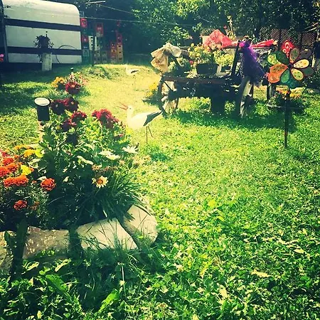 Parcul Cu Pini Mardare Moinesti